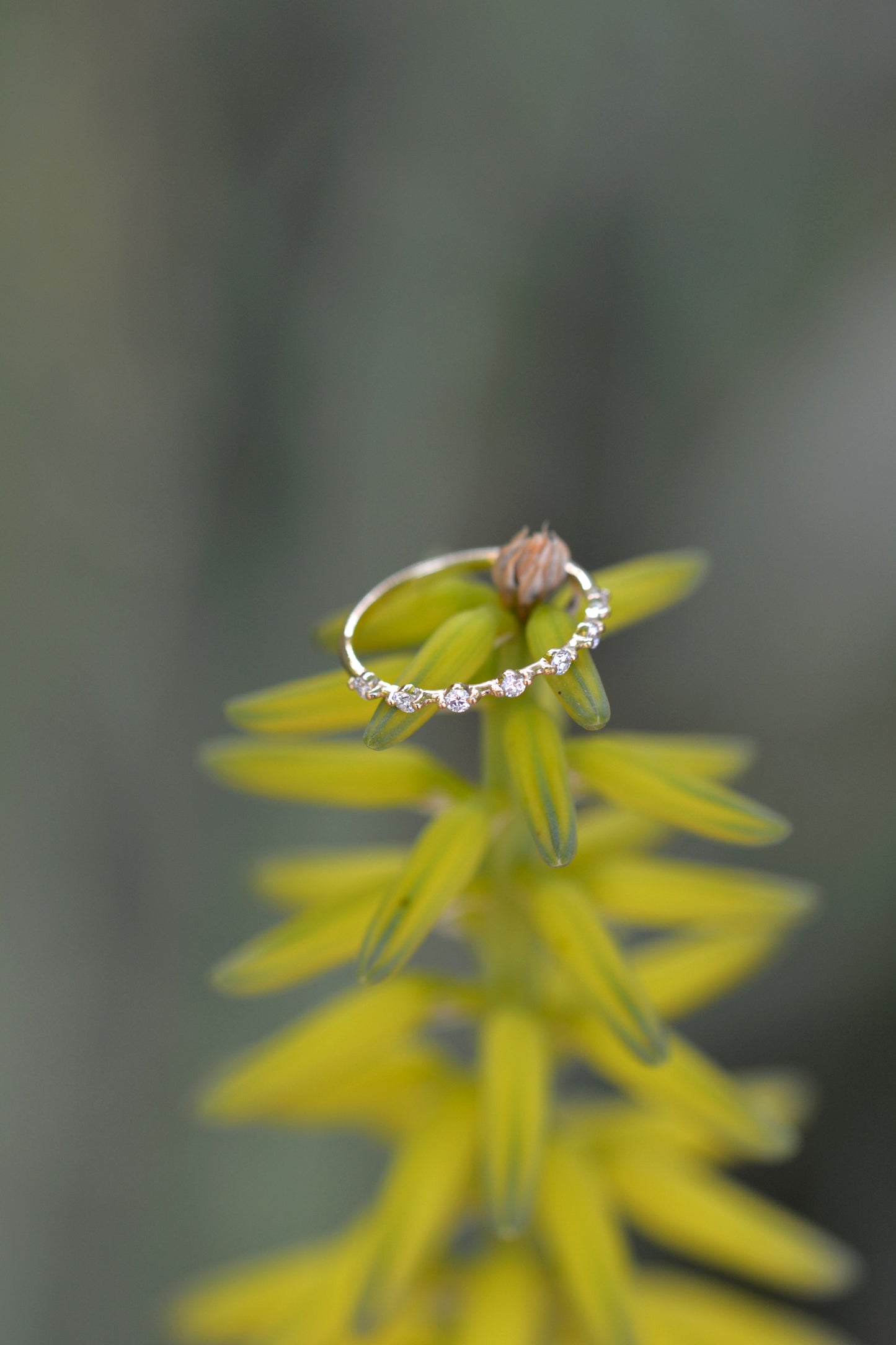 JAISLA Ring- 14K Gold Lab Diamonds